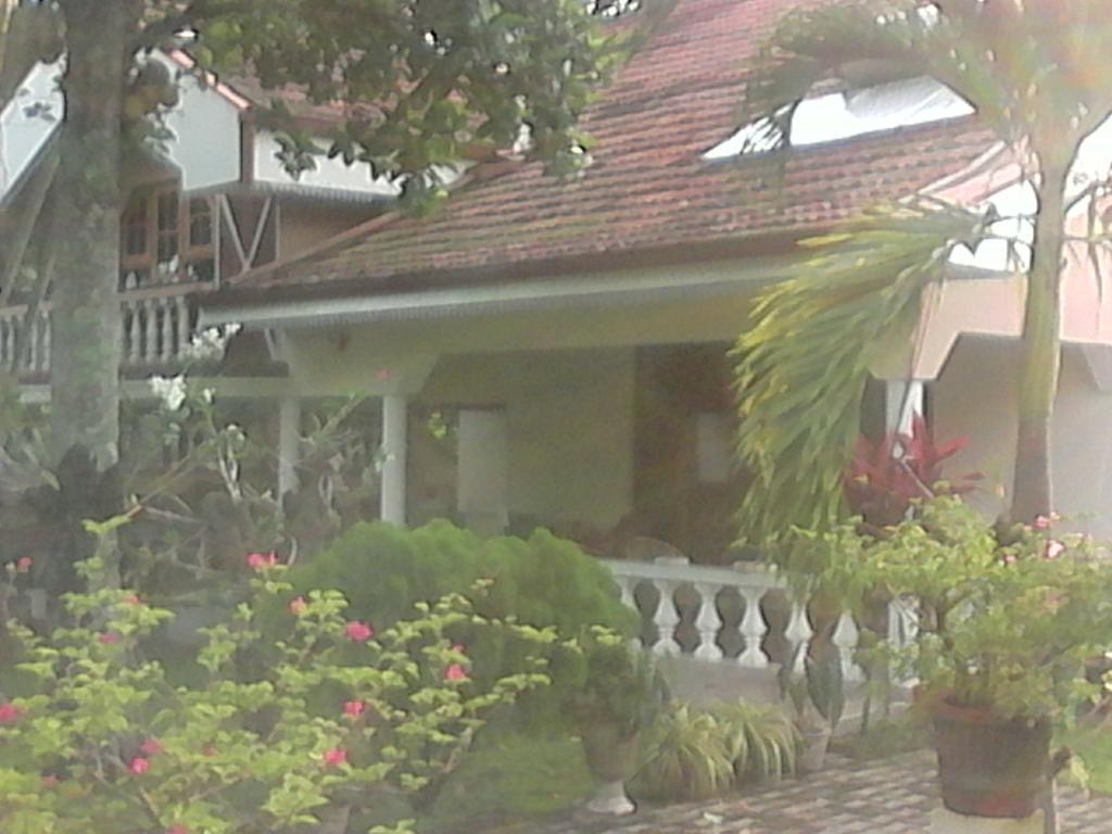 Villa Pala Negombo Eksteriør bilde